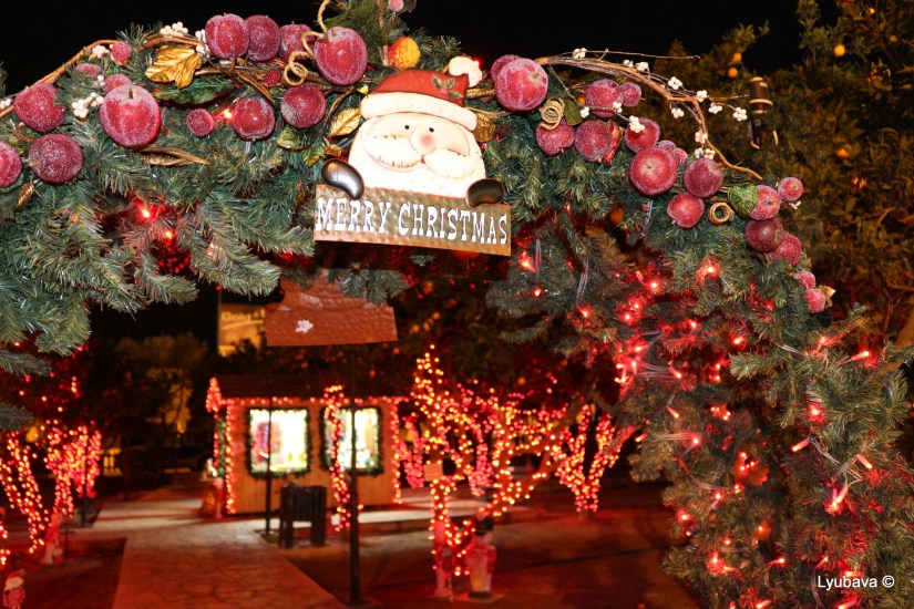 Christmas Time... !!!